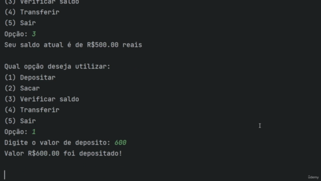 Curso de Programação Python Profissional: Do Zero ao Épico – Screenshot 2