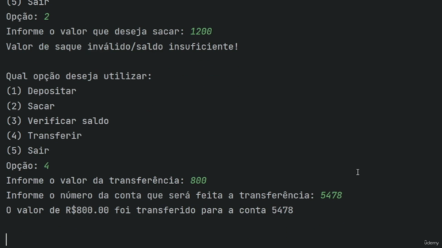 Curso de Programação Python Profissional: Do Zero ao Épico – Screenshot 4