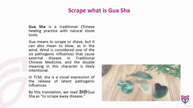 Gua Sha Face Massage Certificate Course – Screenshot 1
