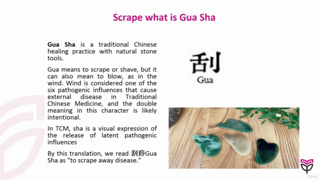 Gua Sha Face Massage Certificate Course – Screenshot 3
