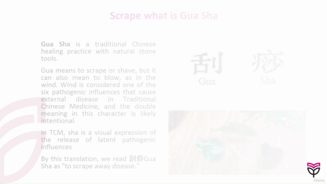 Gua Sha Face Massage Certificate Course – Screenshot 4