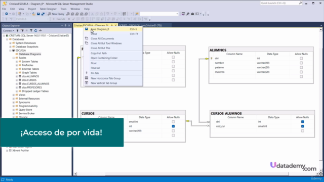 Diseño de Bases de Datos Relacionales [2025] – Screenshot 3
