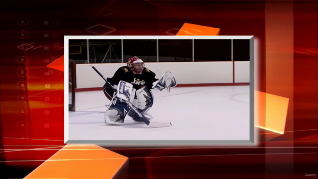 Winning Hockey - Goaltending – Screenshot 4