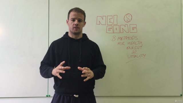 Nei Gong - 8 Internal Exercises for modern times. – Screenshot 1