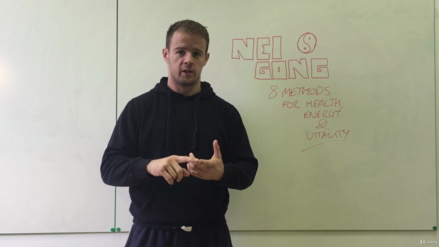 Nei Gong - 8 Internal Exercises for modern times. – Screenshot 2