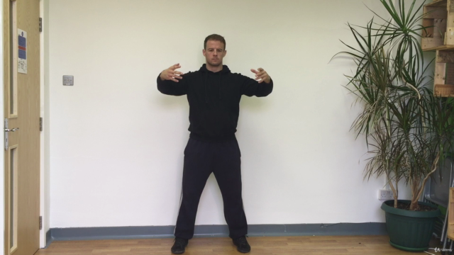 Nei Gong - 8 Internal Exercises for modern times. – Screenshot 3