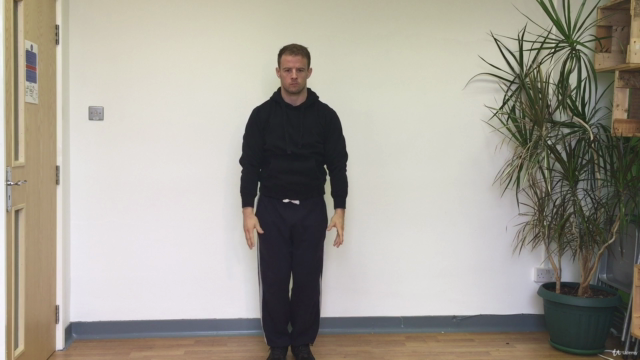 Nei Gong - 8 Internal Exercises for modern times. – Screenshot 4