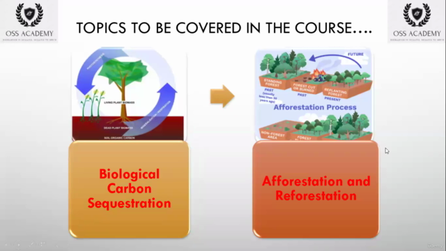 Introduction to Carbon Sequestration – Screenshot 1