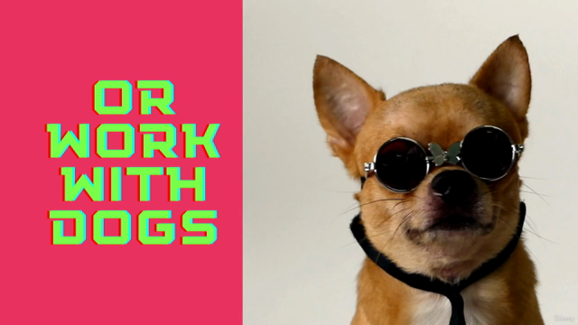 Puppy`s First Days-A comprehensive guide to puppyhood – Screenshot 1