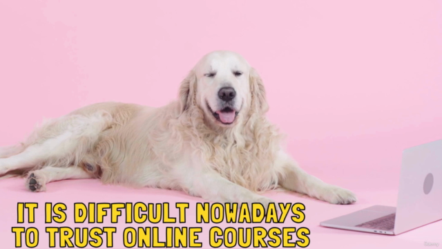Puppy`s First Days-A comprehensive guide to puppyhood – Screenshot 3