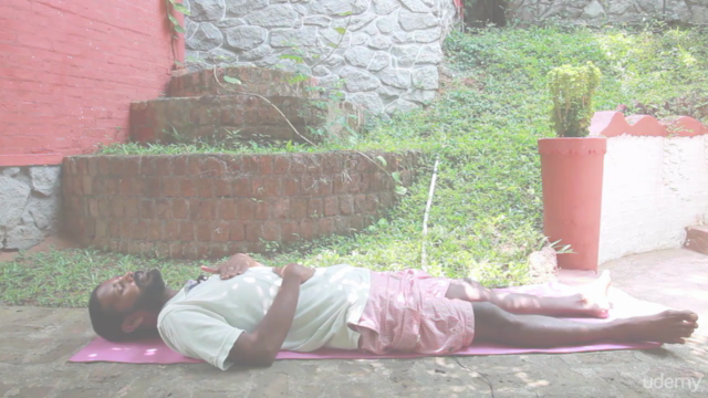 Authentic Chair Yoga from famous Indian Yoga Master – Screenshot 3