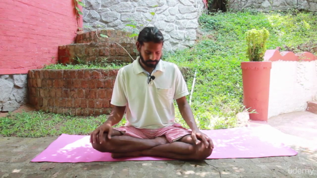 Authentic Chair Yoga from famous Indian Yoga Master – Screenshot 4