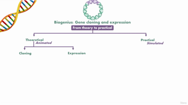 Biogenius: Gene Cloning and Expression [Theory & Practice] – Screenshot 3