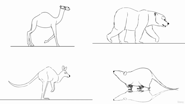 Learn Animal Walks & Runs in Adobe Animate – Screenshot 4