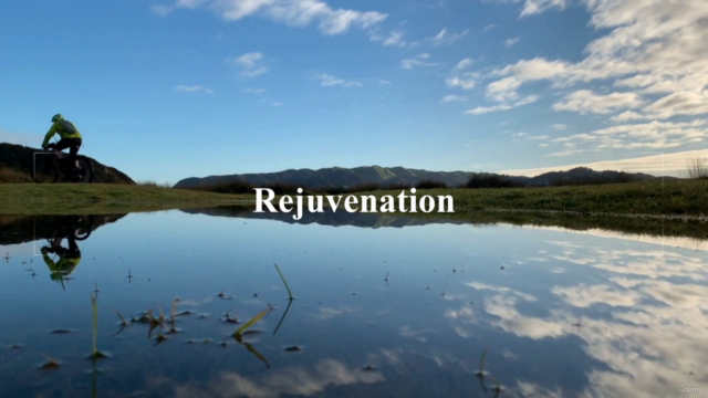 Transform Your Life: A Guide to Personal Empowerment – Screenshot 4