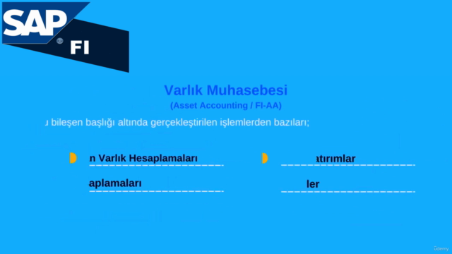 SAP FI: Sıfırdan İleri Seviyeye Uzmanlık Eğitimi – Screenshot 4