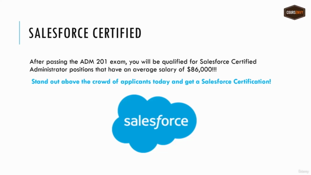 Salesforce Certification- Work From Home At a Growing Co.! – Screenshot 1