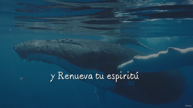 Sanación Oceánica – Screenshot 4