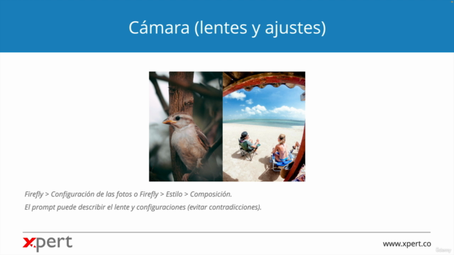 Adobe Firefly - Máster: De Básico a Profesional. – Screenshot 4
