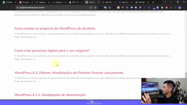 Formação Profissional em Wordpress + Projetos Práticos 2024 – Screenshot 3