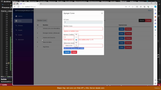 Blazor Asp .net core 8.0 con Web API y SQL Server desde cero – Screenshot 3