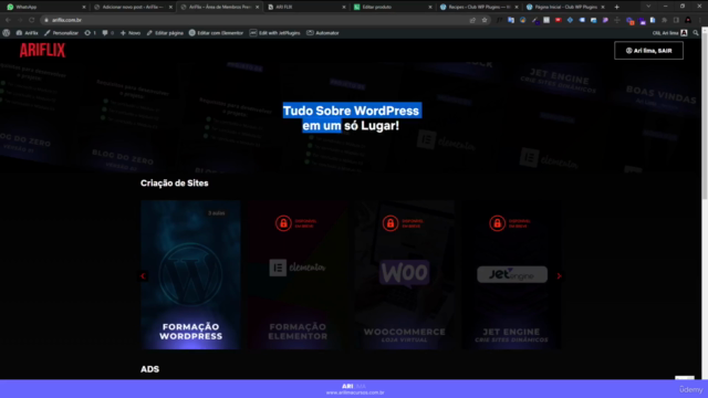 Área de Membros no Wordpress estilo Netflix com Webhooks – Screenshot 4