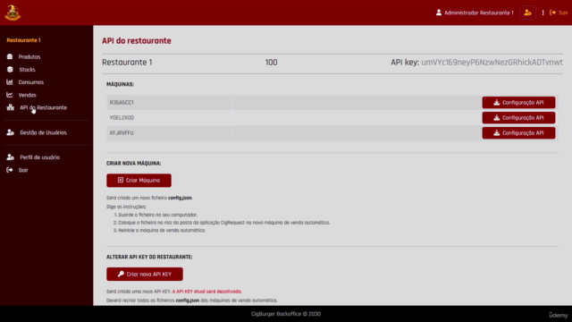 CodeIgniter 4 Júnior a Mestre Com Projetos Web – Screenshot 3