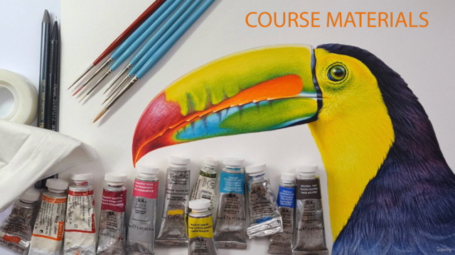 TOUCAN - Paint Realistic Watercolour and BIRDS – Screenshot 2