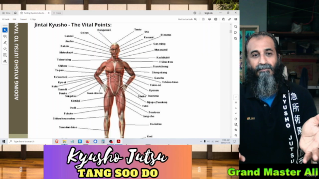 Adding Kyusho Jutsu to Tang Soo Do – Screenshot 2