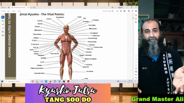Adding Kyusho Jutsu to Tang Soo Do - Screenshot_02