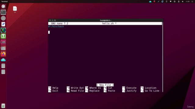 Bash Scripting for Linux Security - Screenshot_01