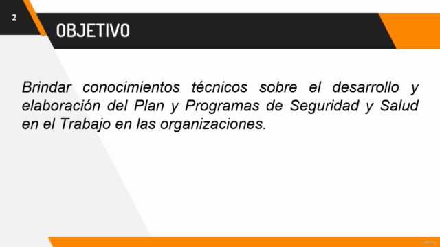 Desarrollo del plan y programas de seguridad ocupacional – Screenshot 1