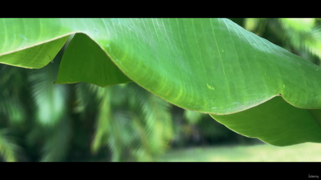 iPhone filmmaking using the Balck magic App 2024 – Screenshot 1