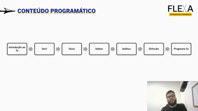 Gestão de 5S na Prática – Screenshot 4