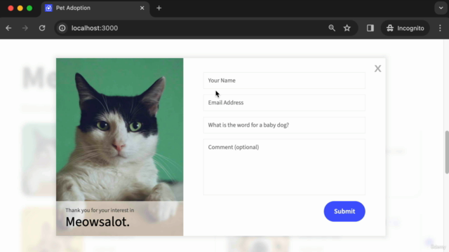 Become a Web Developer: 2024 Bootcamp – Screenshot 2