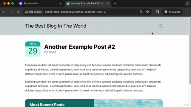 Become a Web Developer: 2024 Bootcamp – Screenshot 3