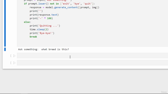 Learn Google's Gemini and Anthropic's Claude API with Python – Screenshot 3