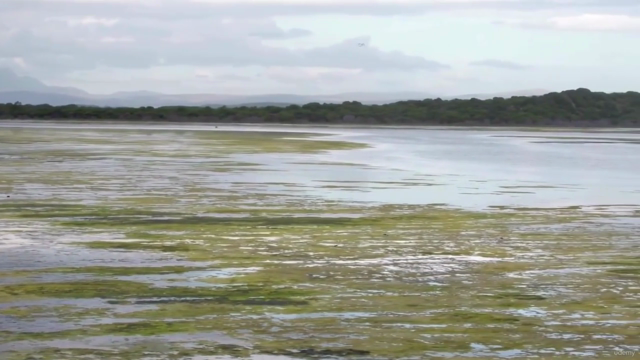 ISO 14046: Cálculo de la Huella Hídrica y Gestión del agua – Screenshot 1