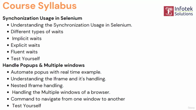 Selenium WebDriver with Java - Learn Testing with Selenium – Screenshot 3