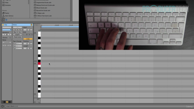 Beginner's Guide to Music Theory for Producers – Screenshot 3