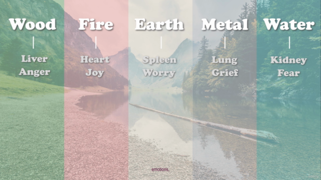 Energy Healing - Five Elements Palm Qigong – Screenshot 2