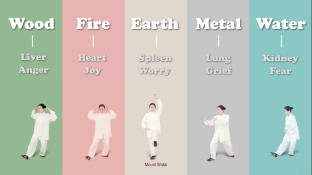 Energy Healing - Five Elements Palm Qigong – Screenshot 3