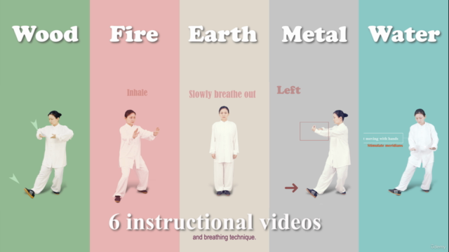 Energy Healing - Five Elements Palm Qigong – Screenshot 4