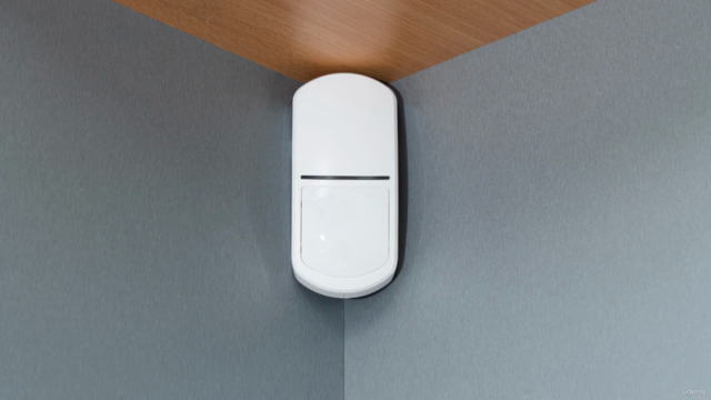 Security Intrusion Alarm systems: The complete Guide – Screenshot 3