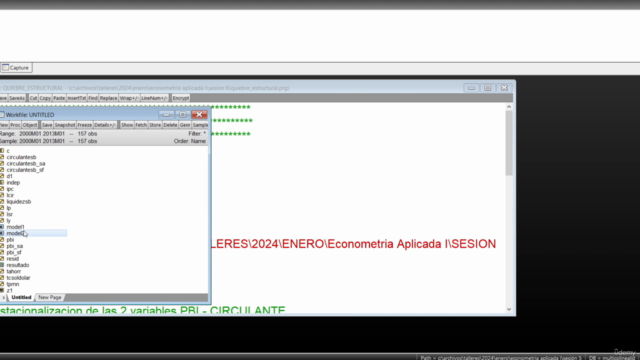 Econometría Aplicada I – Screenshot 4