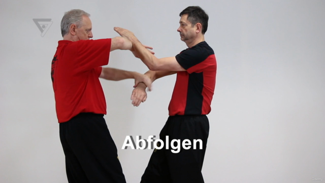 WT-Kampfkunst (Lehrerprogramm 14) – Screenshot 2