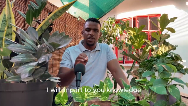 Mastering Indoor Plants Course – Screenshot 1
