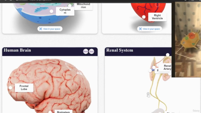 Build Augmented Reality Project Using Model Viewer – Screenshot 3