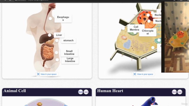 Build Augmented Reality Project Using Model Viewer – Screenshot 4