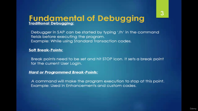SAP Debugging- Techno Functional Course - Screenshot_02